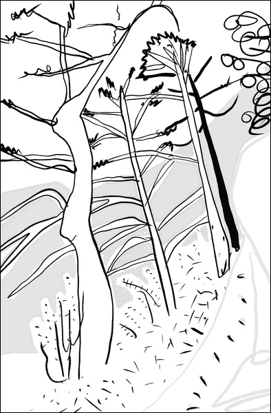 장병언, Digital Drawing, digital_work, 2026